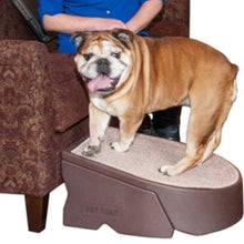 a close up image of a american bulldog standing on a Pet Gear One Step, Chocolate next to a lady sitting on a brown couch