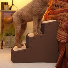 A close up image of a furry dog standing on a three step dog stairs next to a pot of flower under a wooden desk