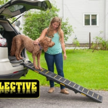a lady assisting her brown dog getting off the car through a trifold reflective ramp 