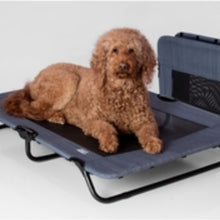 a close up image of a golden doodle laying on the lake blue dog cot 