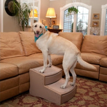 An image of a labrador retriever wearing a blue bandana inside a modern living room standing on a tan colored dog step next to a brown couch 
