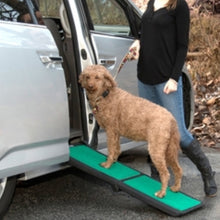 in image of a brown furry dog getting on the silver car through a green dog ramp being held by her lady owner 