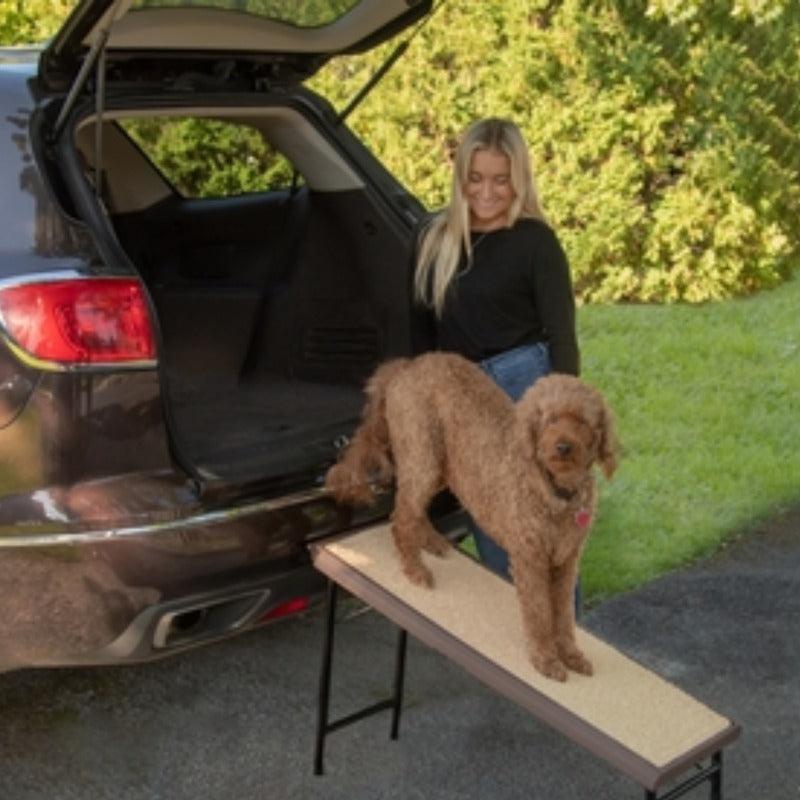 a toy poodle standing on a pet ramp next to a lady wearing black next to a black car outdoors 