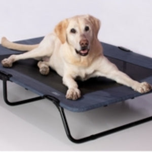 a close up view of a golden retriever laying on a lake blue dog cot 
