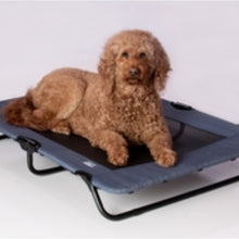 A golden doodle laying on a lake blue dog cot 
