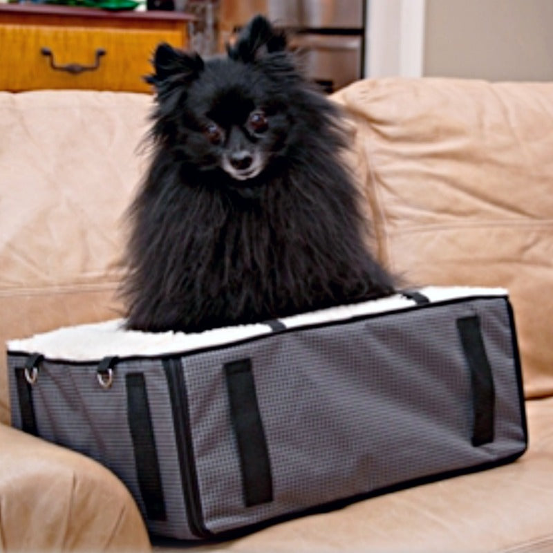 a black pomeranian inside a booster car seat on a cream couch and a wooded drawer on the background 