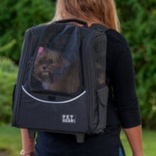 a close up image a shih-tzu on a 5-in-1 Pet Carrier [Backpack/Tote/Roller Bag/Carrier/Car Seat] being carried by a lady on her back