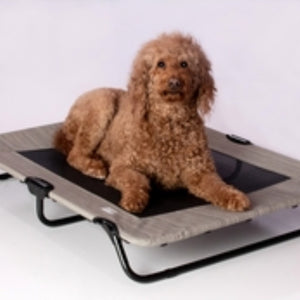 A golden doodle laying on a harbor gray dog cot
