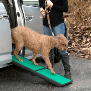 an image of a brown furry dog getting off a silver car through a green ramp next to her lady owner