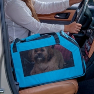 a close up image of driving lady in white next to her dog inside an Aqua Signature Car Seat & Carrier