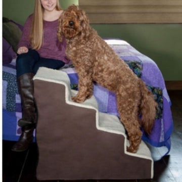 A furry brown dog standing on a four step dog stair next to a lady sitting in a blue bed 