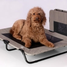 an image of a toy poodle laying on a harbor grey dog cot 