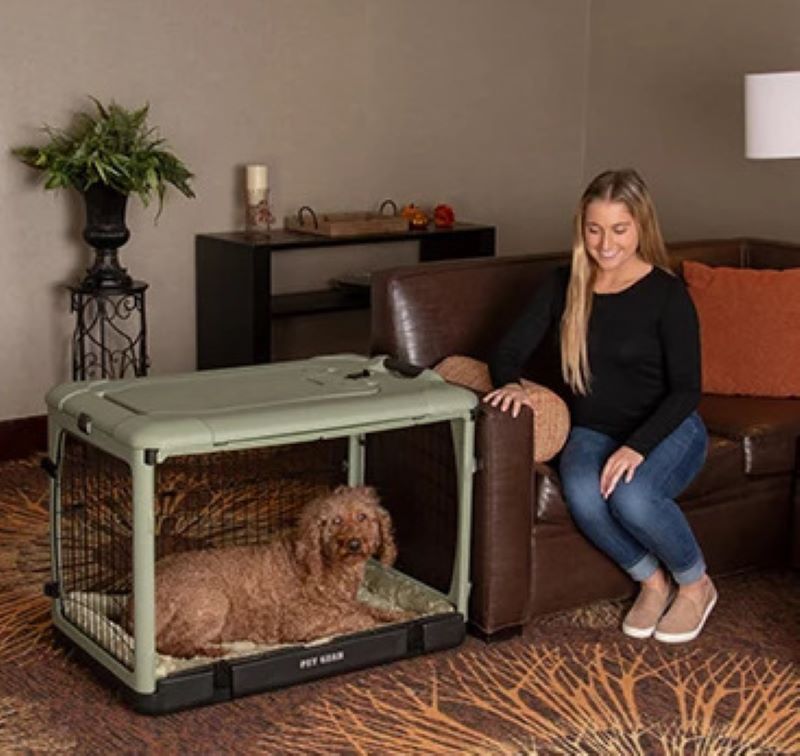a woman siting on a leather couch staring ate her dog inside a sage colored steel dog crate with bolster pad in a modern living room with wooden shelf and a pot of flower at the back