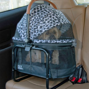 a dig inside an animal printed dog carrier tucked in the backseat of the car 