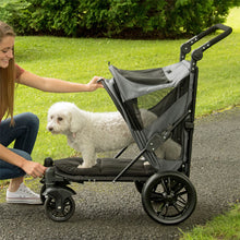 a woman letting her dog get of a grey dog jogger in the park