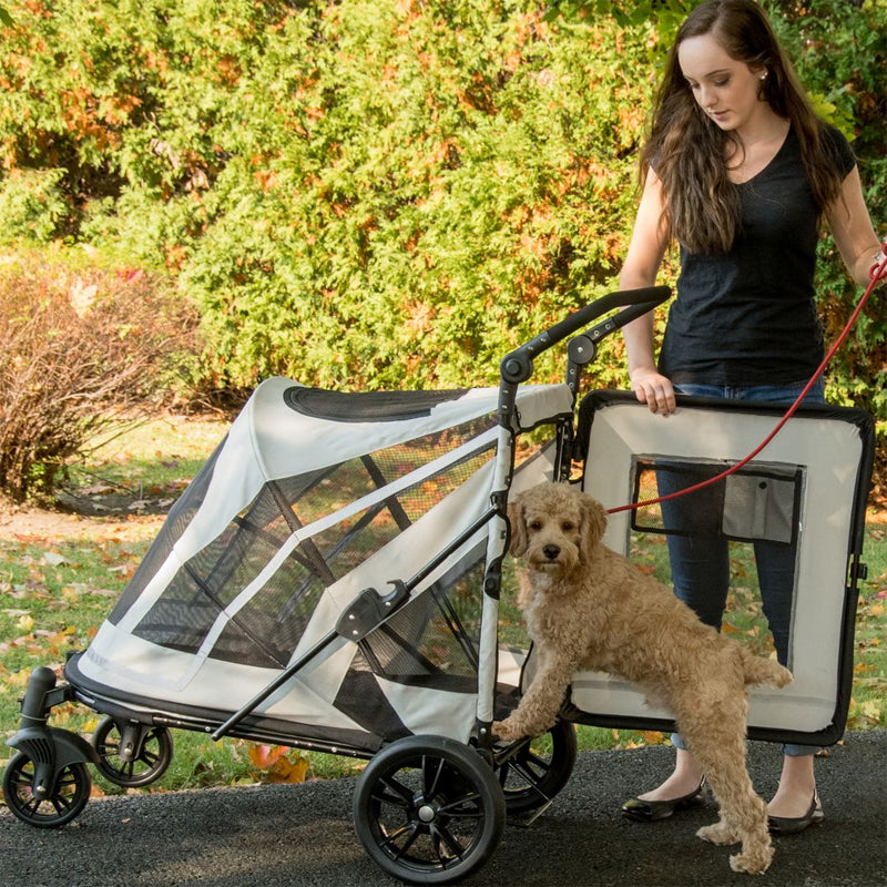 a woman walking her dog in a fog colored jogger in the park