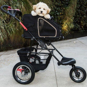 a cute dog riding a black stroller inside a black dog carrier and a black organizer on the bottom of  the stroller next to tall grasses on background 