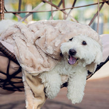 a dog wrapped around with a cream colored velvet blanket in a net 