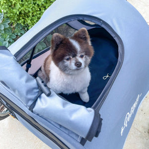 top view picture of a cute dog inside of a blue Dog Jogger Stroller