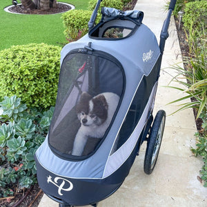 a happy dog inside a space grey colored Dog Jogger Stroller on the path walk of a garden  