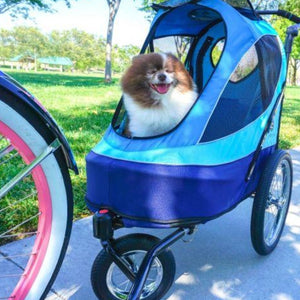 a happy dog inside a blue sailboat dog stroller connected to a bicycle in the park