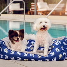 two cute dogs in a blue dog bed in the poolside