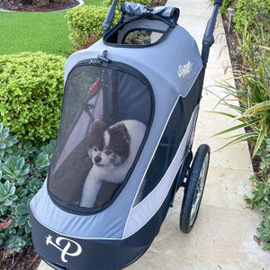 front image of a cute dog inside a blue Dog Jogger Stroller on the path way of a garden 
