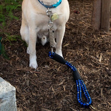 a close up image of a black and blue dog leash attached to a dog next to a tiny tree on the ground 