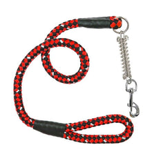 a reflective dog leash with safety lock at the end with lady bug patterns 