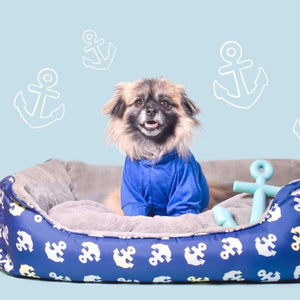 a happy dog wearing blue shirt sitting on a blue dog bed with anchor prints  next to a toy anchor