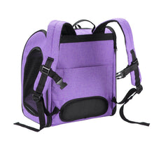 a back view image of an orchid colored dog carrier partially facing right with back pack straps 