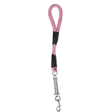 a short candy cane colored reflective dog leash