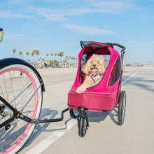 a red dog cart with a happy dog inside connected to a bicycle through a back bike adapter traveling on the road