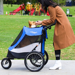a woman petting her dog inside a blue Dog Jogger Stroller at the park