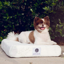a happy dog sitting on a white memory foam dog bed next to a bush