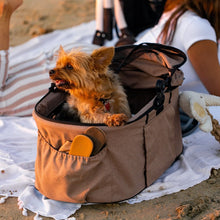 a close up image of a tiny dog inside a champagne colored dog carrier and a pair of sandals on its side pocket next to a lady laying on a white matt on the sands