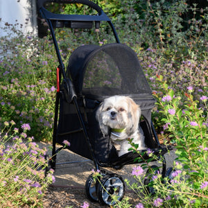 a cute white dog getting out of a black dog stroller on the garden surrounded with flowers 