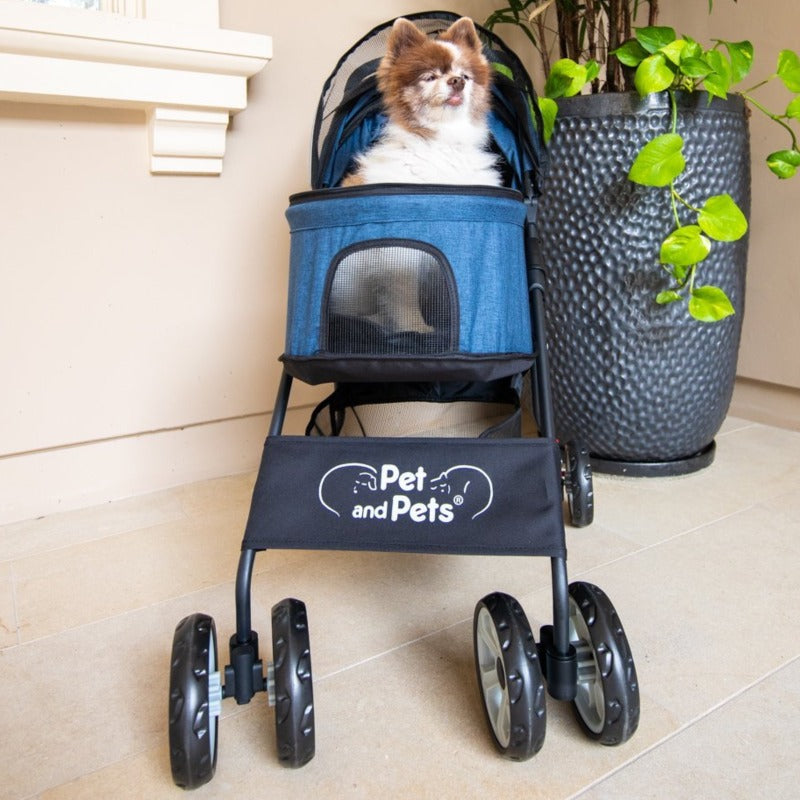 a cute dog inside an open blue colored dog stroller next to a big pot of plant and hanging vines  