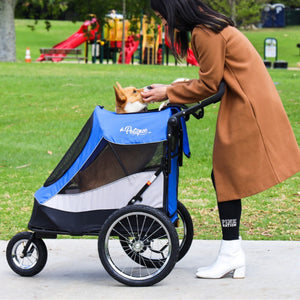 a woman petting her dog inside a blue dog stroller in the park 