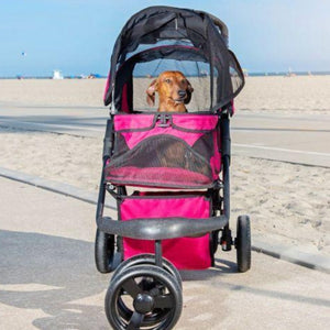 a brown dog on the beach inside a razzberry dog stroller facing front and its wheels facing left 