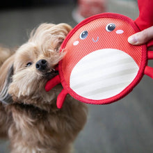 a close up image of  a dog biting a red crab dog toy being pulled away from its mouth by a hand 