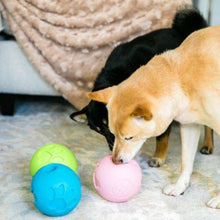 two cute dog sniffing on a pink dog ball treat dispenser next to a white couch covered in blanket and two other dog ball treat dispenser 