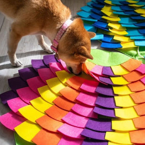 a dog sniffing on a tropical colored puzzle pad on the floor 