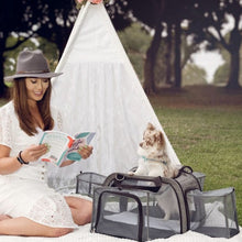 a lady reading a book next to a white tent and her tiny dog inside a grey dog carrier and camper in the woods 