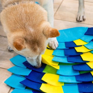a close up image of a dog sniffing on a yellow and blue shaded puzzle pad on the floor 