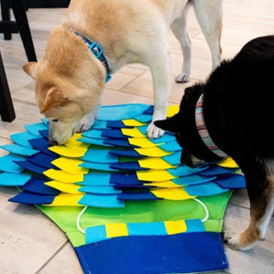 two dogs sniffing on a blue and yellow colored puzzle pad arranged like a hot air balloon on the floor next to a steel chairs 