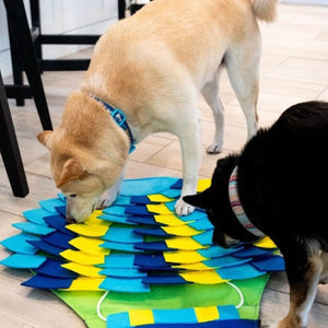 two dogs next t o a steel chair sniffing on a multi colored puzzle pad arranged like a hot air balloon