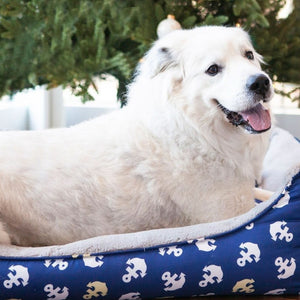 a happy white dog laying on a blue dog bed with anchor prints next to a plant