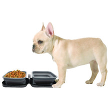a white french bulldog standing next to a portable dog bowl full of  dog food 