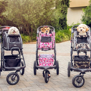 Three cute dogs in three different colored Pet strollers on a sidewalk